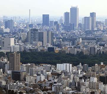 Canon RF 100-500mm f/4.5-7.1L IS USM Lens by  in  - EC MALL