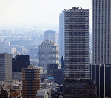 Canon RF 100-500mm f/4.5-7.1L IS USM Lens by  in  - EC MALL