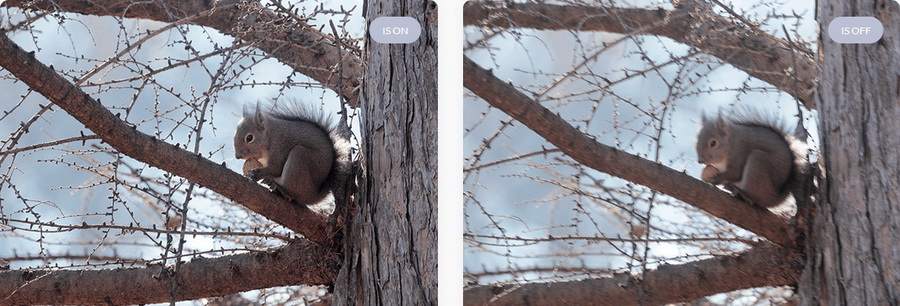 Canon RF 600mm f/11 IS STM Lens by  in  - EC MALL