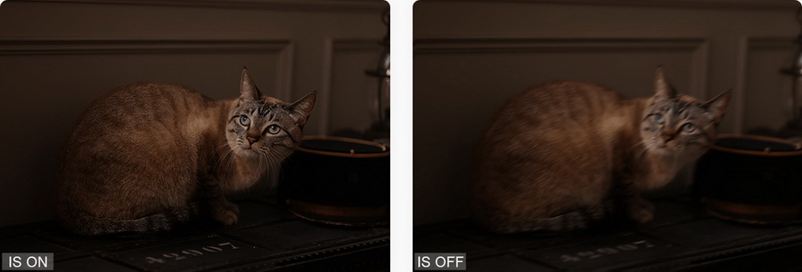 Canon RF 85mm f/2 Macro IS STM Lens by  in  - EC MALL