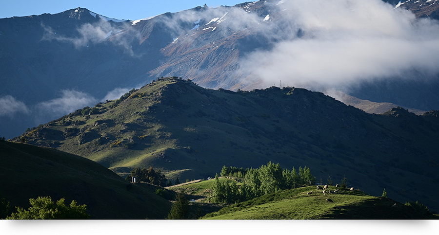 Nikon NIKKOR Z 70-200mm f/2.8 VR S Lens by  in  - EC MALL