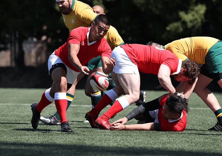 Canon RF 100-500mm f/4.5-7.1L IS USM Lens by  in  - EC MALL