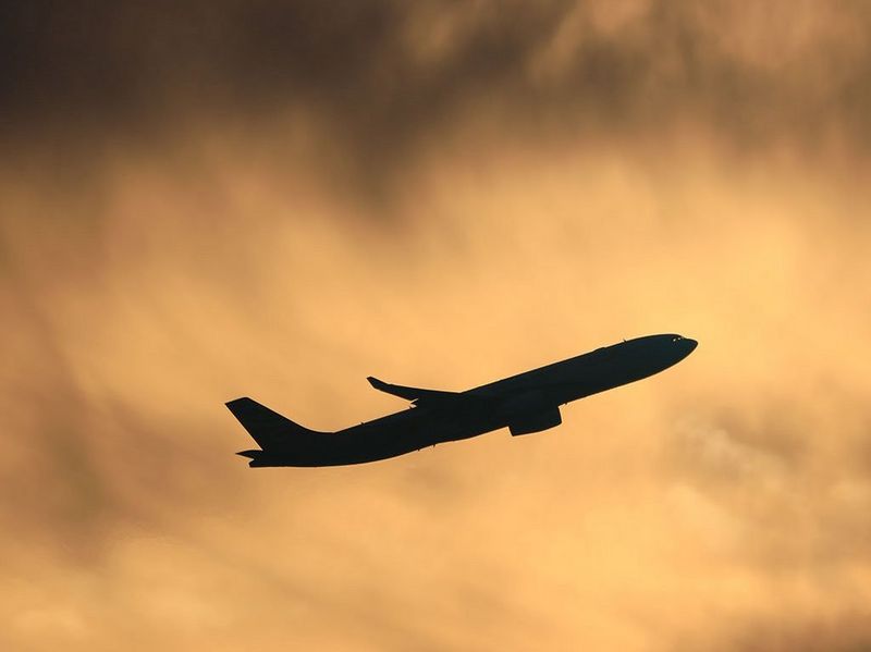 Canon RF 800mm f/11 IS STM by  in  - EC MALL