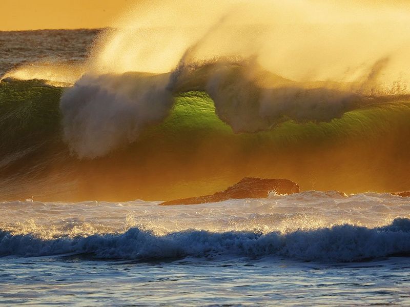 Canon RF 800mm f/11 IS STM by  in  - EC MALL