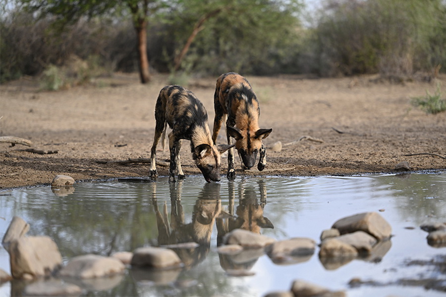 Nikon NIKKOR Z 70-200mm f/2.8 VR S Lens by  in  - EC MALL