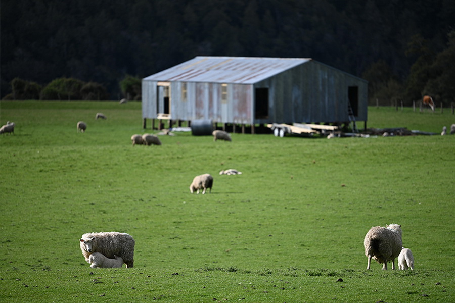 Nikon NIKKOR Z 70-200mm f/2.8 VR S Lens by  in  - EC MALL