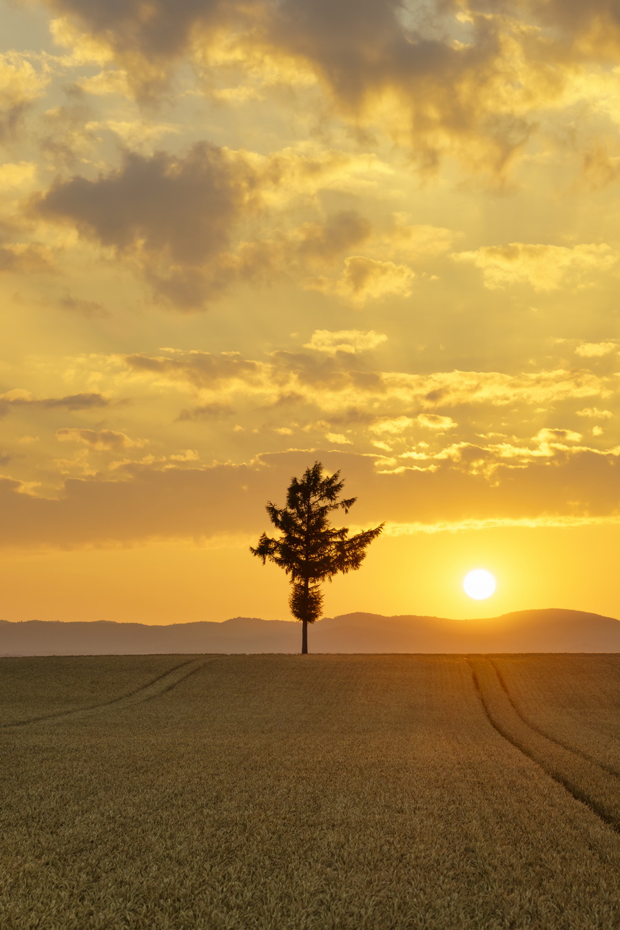 Sigma 85mm f/1.4 DG DN (A) Lens by  in  - EC MALL