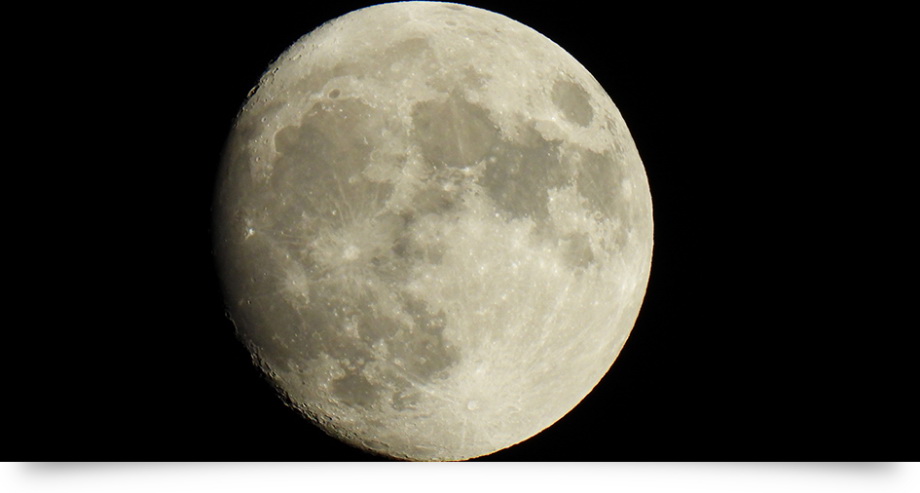 Nikon COOLPIX P950 by  in  - EC MALL