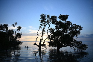 Nikon NIKKOR Z 24-200mm f/4-6.3 VR Lens by  in  - EC MALL