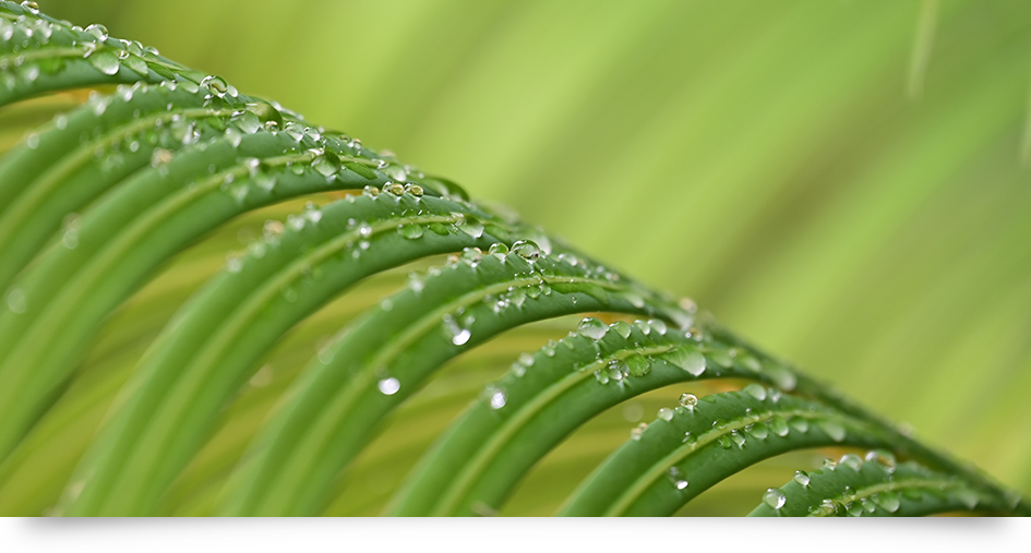 Nikon NIKKOR Z 24-200mm f/4-6.3 VR Lens by  in  - EC MALL