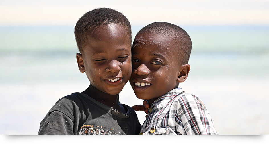 Nikon NIKKOR Z 24-200mm f/4-6.3 VR Lens by  in  - EC MALL