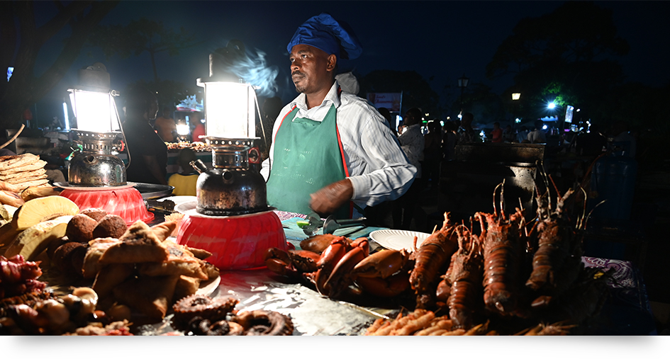 Nikon NIKKOR Z 24-200mm f/4-6.3 VR Lens by  in  - EC MALL