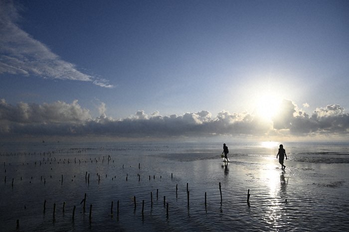 Nikon NIKKOR Z 24-200mm f/4-6.3 VR Lens by  in  - EC MALL