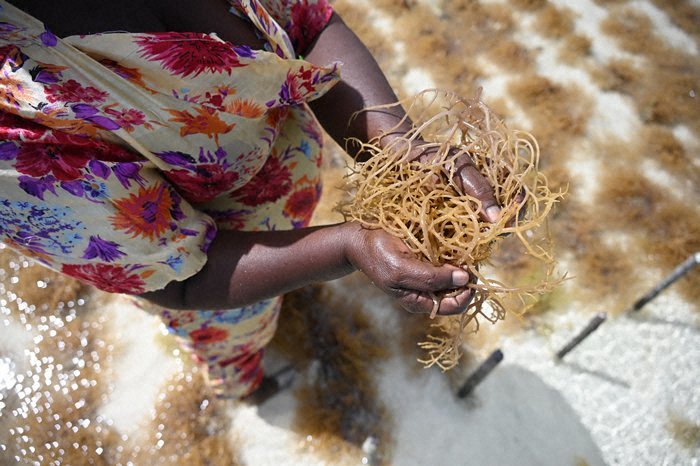 Nikon NIKKOR Z 24-200mm f/4-6.3 VR Lens by  in  - EC MALL