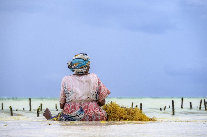 Nikon NIKKOR Z 24-200mm f/4-6.3 VR Lens by  in  - EC MALL