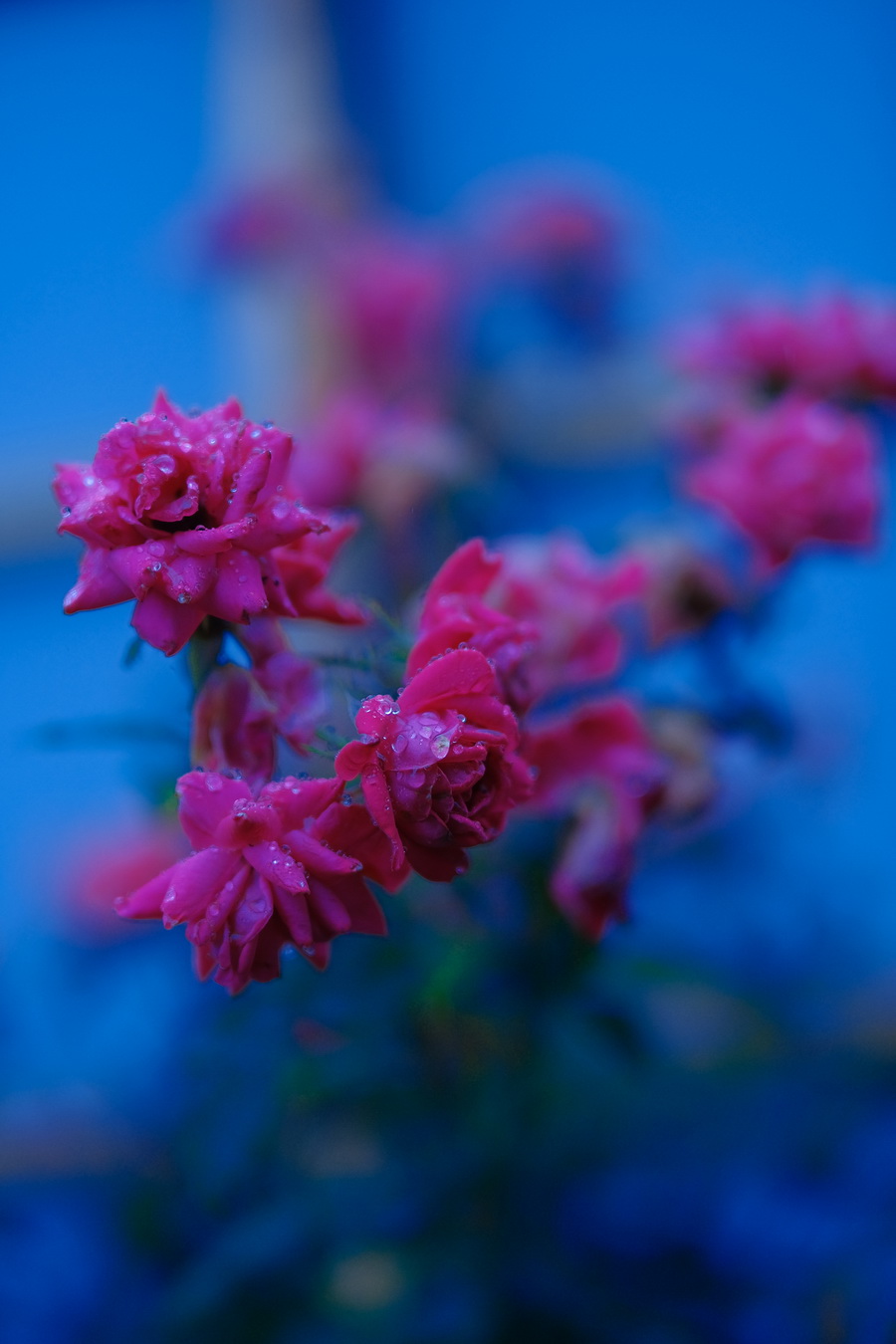 Fujifilm Fujinon XF 50mm f/1.0 R WR Lens by  in  - EC MALL