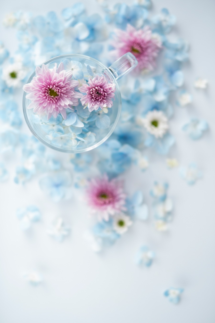 Fujifilm Fujinon XF 50mm f/1.0 R WR Lens by  in  - EC MALL