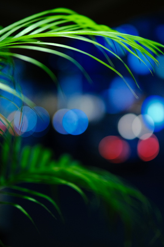 Fujifilm Fujinon XF 50mm f/1.0 R WR Lens by  in  - EC MALL