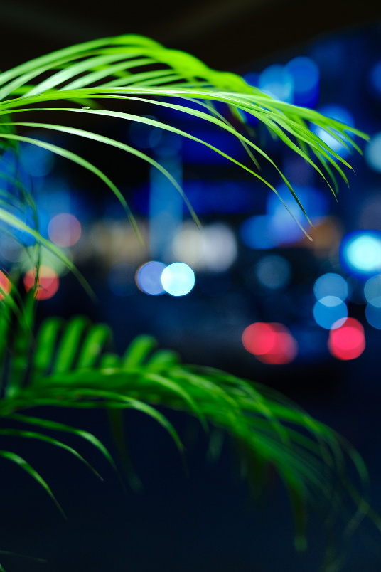 Fujifilm Fujinon XF 50mm f/1.0 R WR Lens by  in  - EC MALL