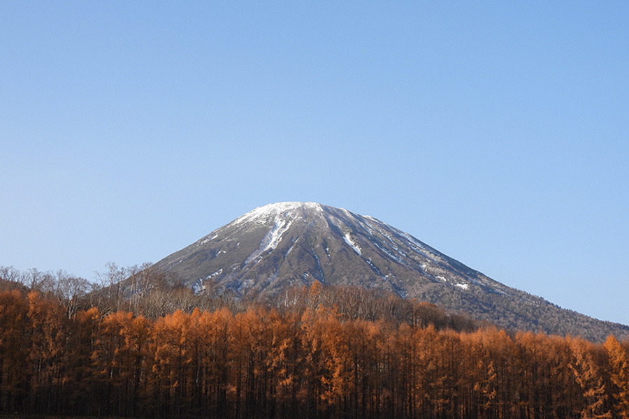 Nikon COOLPIX P950 by in - EC MALL