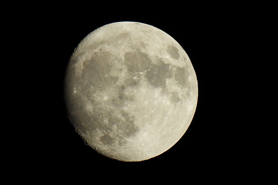 Nikon COOLPIX P950 by  in  - EC MALL