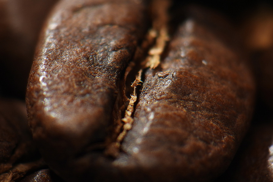 Nikon COOLPIX P950 by  in  - EC MALL