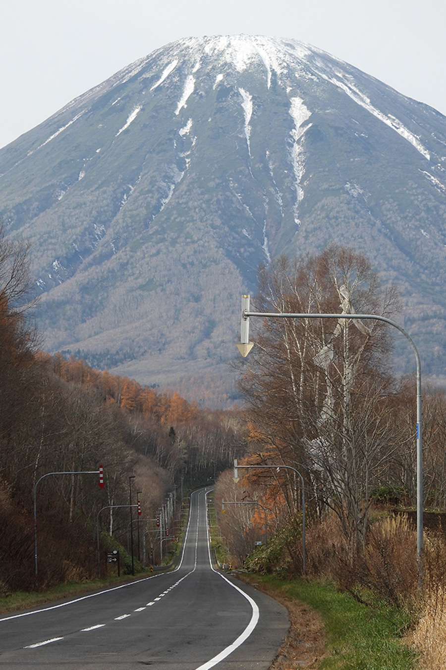 Nikon COOLPIX P950 by  in  - EC MALL