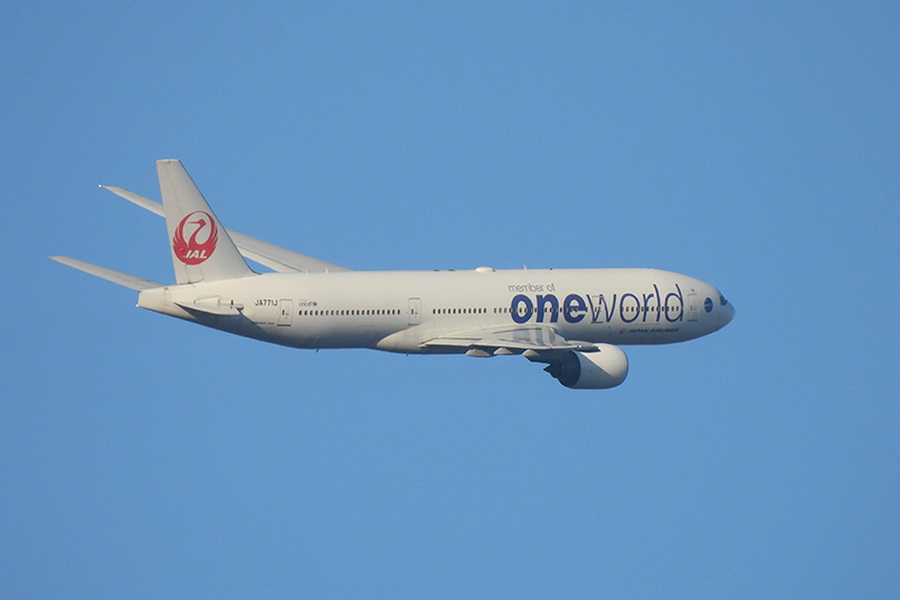 Nikon COOLPIX P950 by  in  - EC MALL