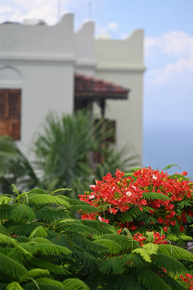 Nikon NIKKOR Z 24-200mm f/4-6.3 VR Lens by  in  - EC MALL