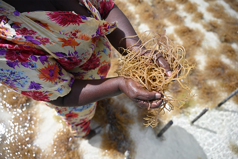 Nikon NIKKOR Z 24-200mm f/4-6.3 VR Lens by  in  - EC MALL