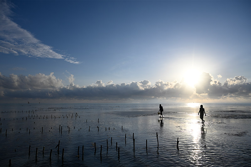 Nikon NIKKOR Z 24-200mm f/4-6.3 VR Lens by  in  - EC MALL