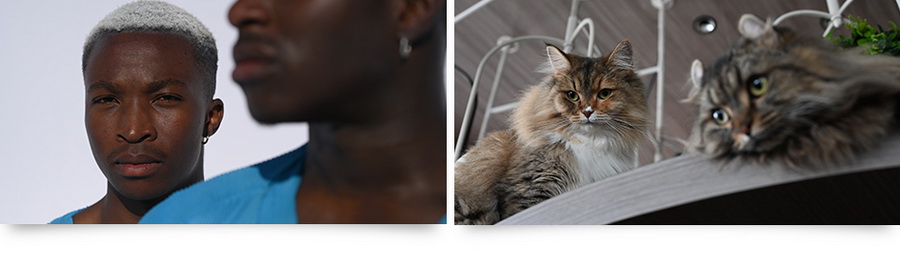 Nikon Z6 II by  in  - EC MALL