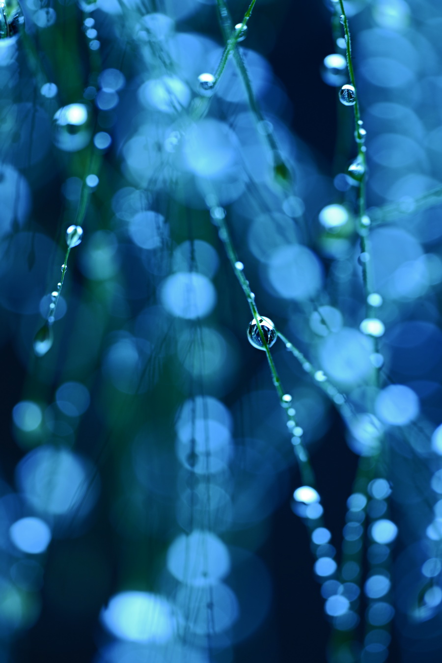 Sigma 105mm f/2.8 DG DN Macro (A) by  in  - EC MALL