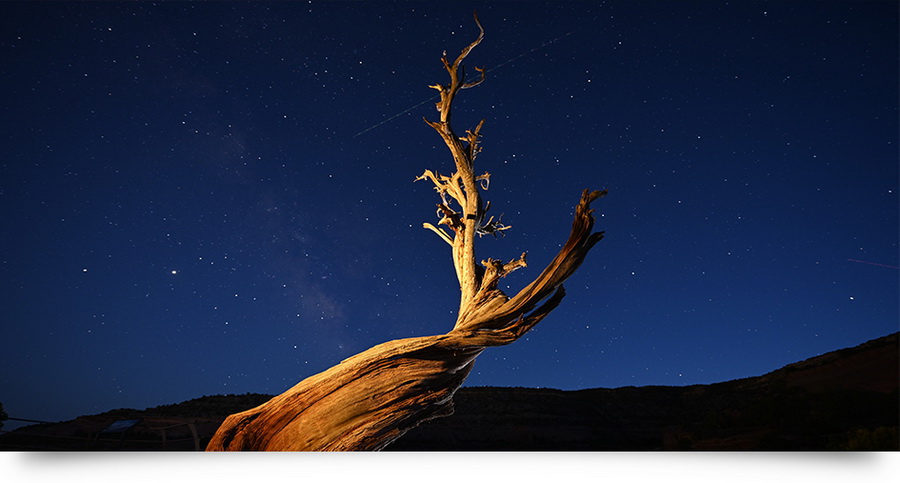 Nikon Z7 II by  in  - EC MALL