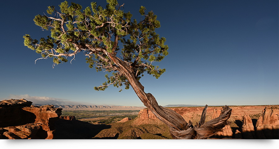 Nikon Z7 II by  in  - EC MALL