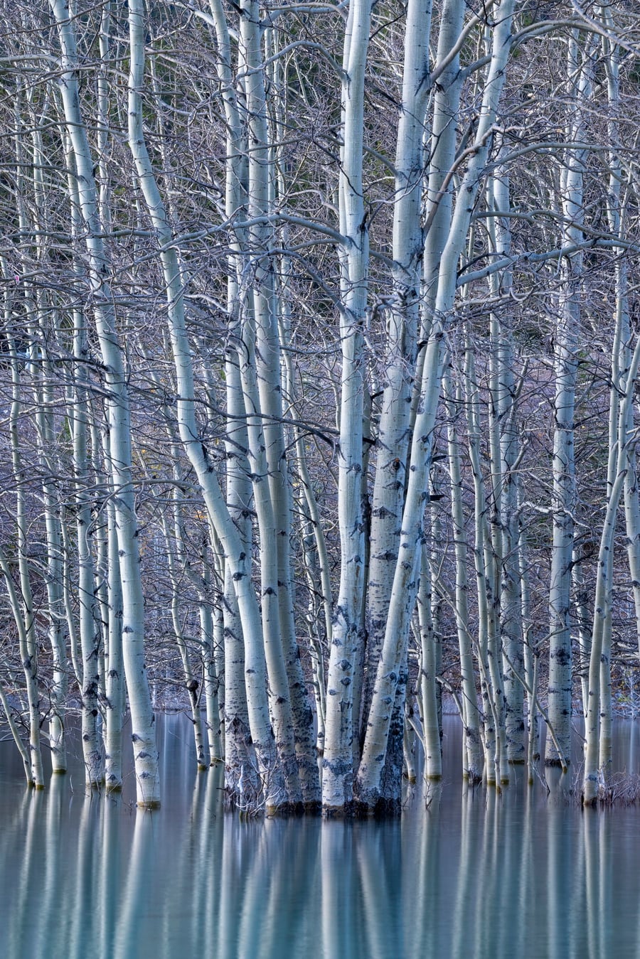 Canon RF 70-200mm f/4L IS USM Lens by  in  - EC MALL