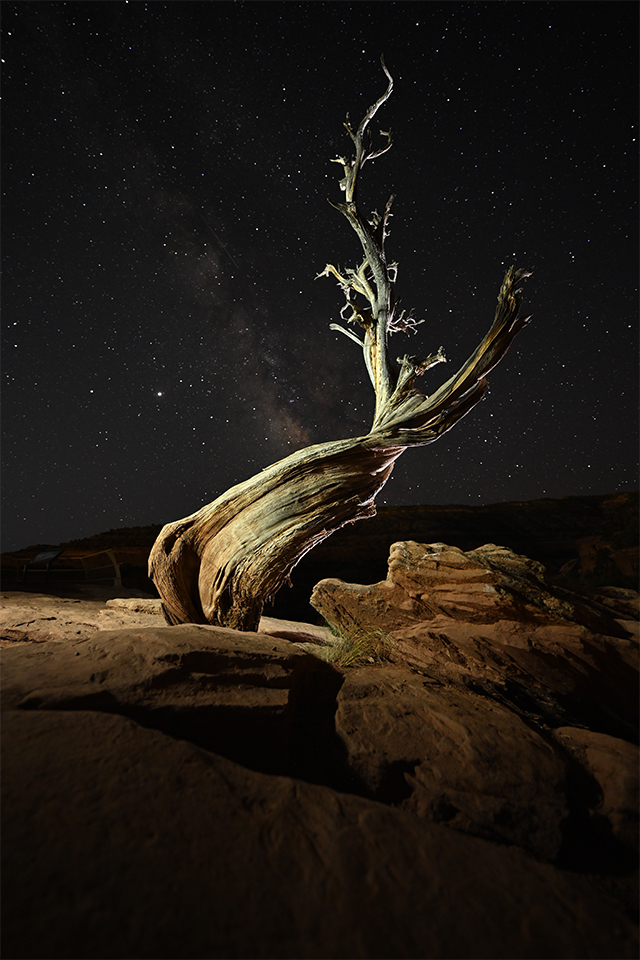 Nikon Z7 II by  in  - EC MALL