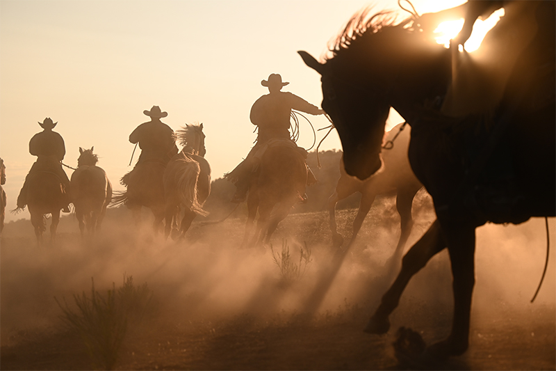 Nikon Z7 II by  in  - EC MALL