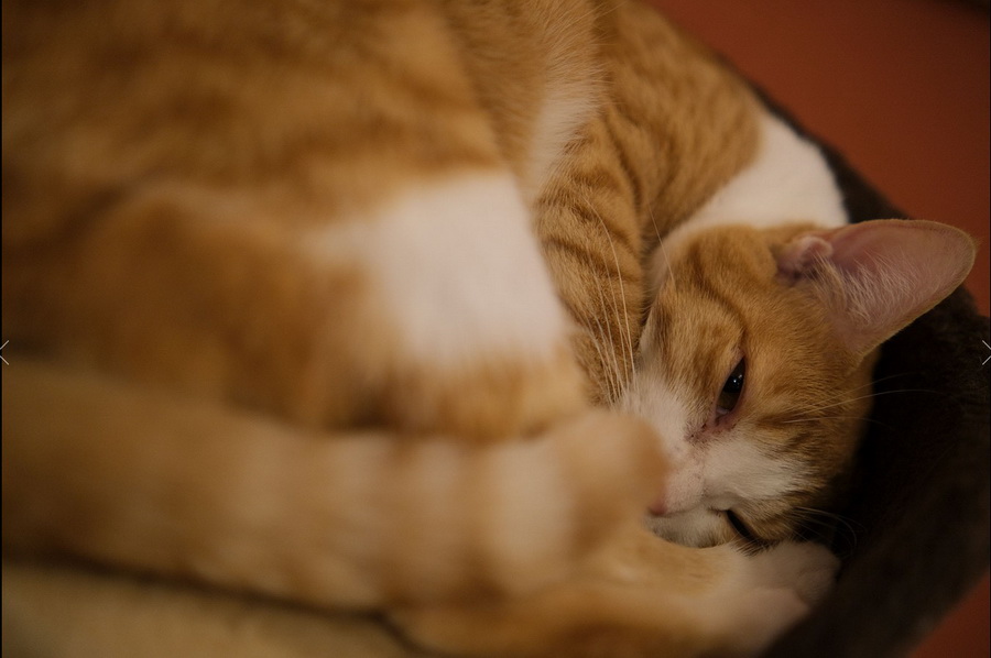 Tokina atx-m 33mm f/1.4 by  in  - EC MALL