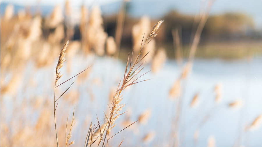 Tokina atx-m 85mm f/1.8 FE by  in  - EC MALL