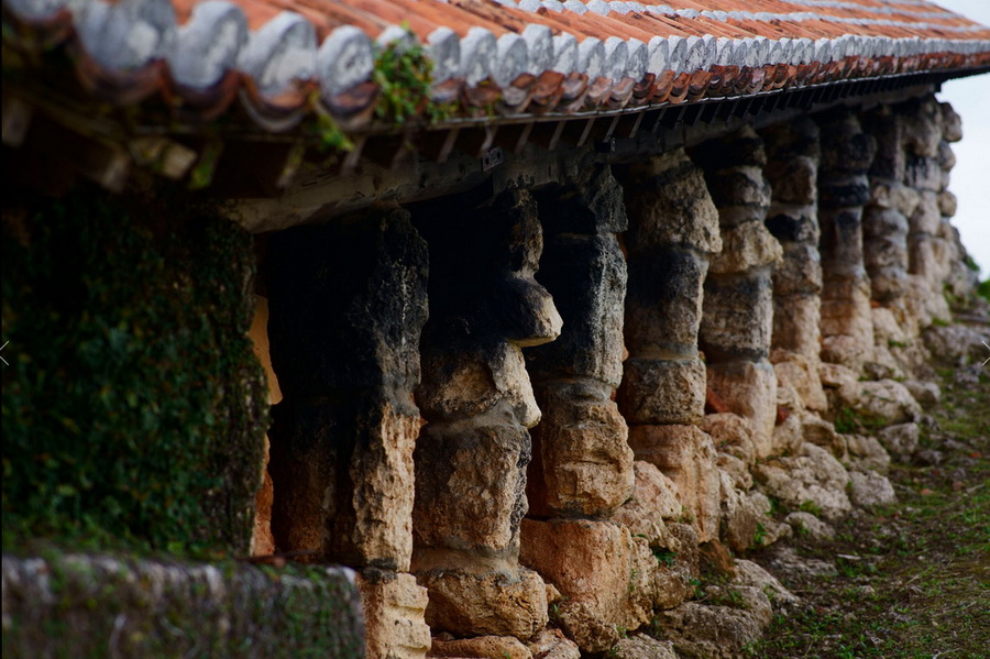 Tokina atx-m 85mm f/1.8 FE by  in  - EC MALL