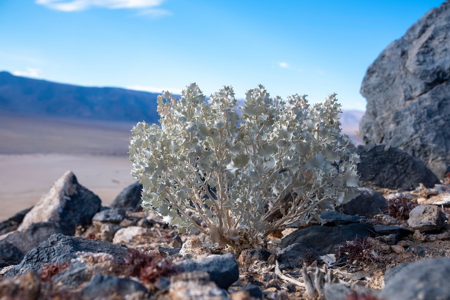 Tokina atx-m 23mm f/1.4 by  in  - EC MALL