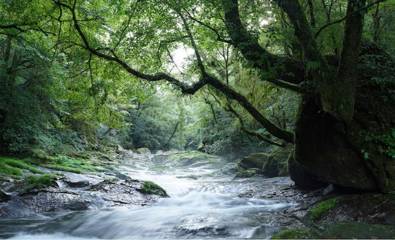 Sony FE 35mm f/1.4 GM Lens by  in  - EC MALL