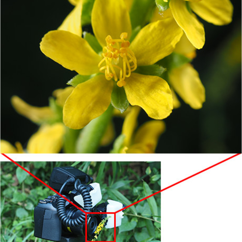 Olympus STF-8 Macro Flash by  in  - EC MALL