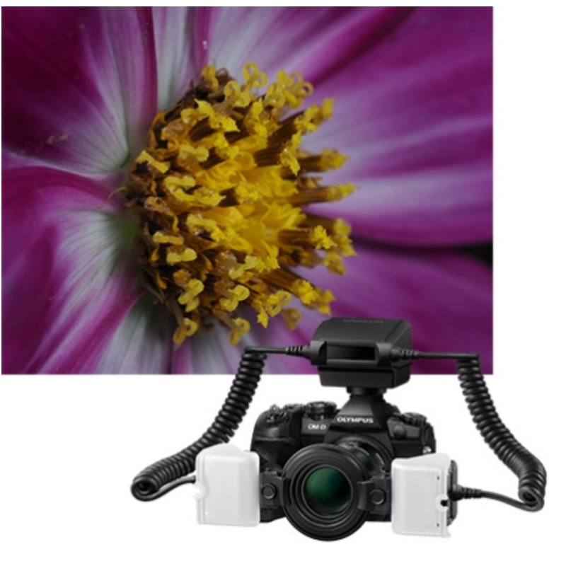 Olympus STF-8 Macro Flash by  in  - EC MALL