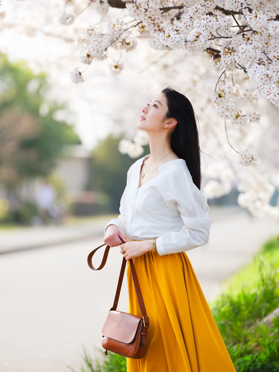 Fujifilm Fujinon GF 250mm f/4 R LM OIS WR Lens by  in  - EC MALL