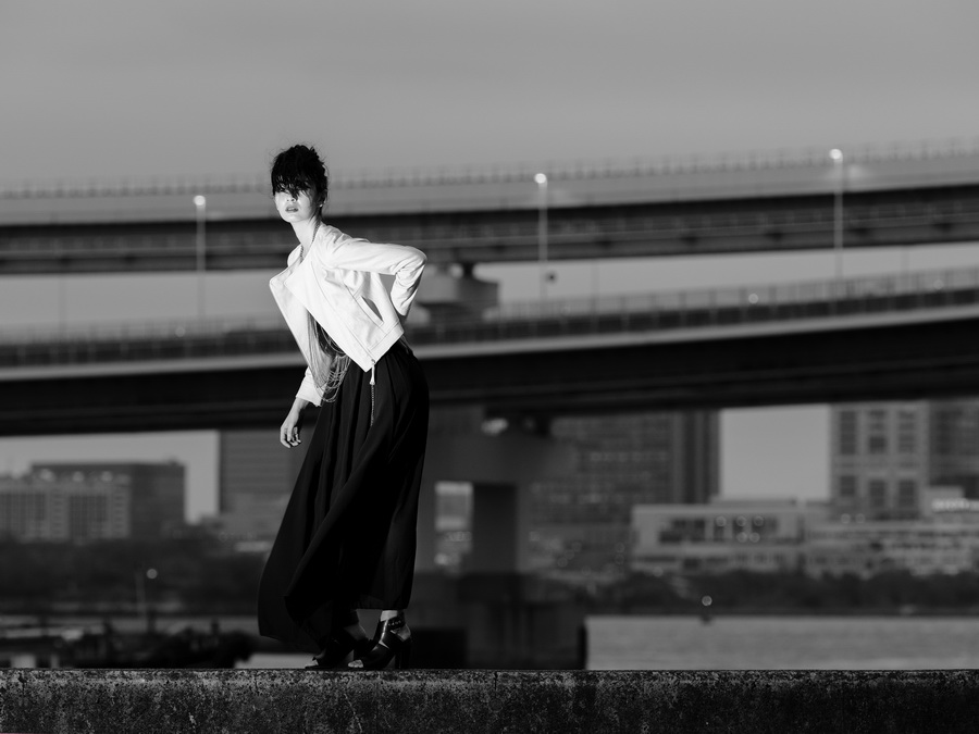 Fujifilm Fujinon GF 250mm f/4 R LM OIS WR Lens by  in  - EC MALL