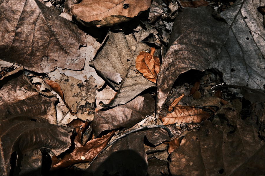 Fujifilm Fujinon XF 10-24mm f/4.0 R OIS WR Lens by  in  - EC MALL