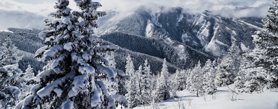 ZEISS Batis 18mm f/2.8 Lens by  in  - EC MALL