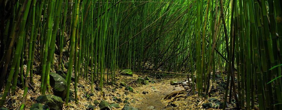 ZEISS Batis 25mm f/2 Lens by  in  - EC MALL